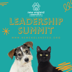 NEFED-leadershipsummit